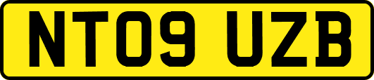 NT09UZB