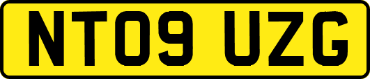 NT09UZG