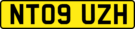 NT09UZH