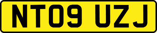NT09UZJ