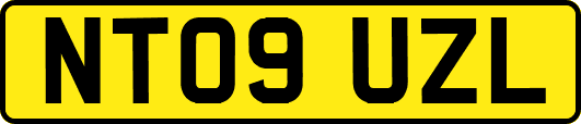 NT09UZL