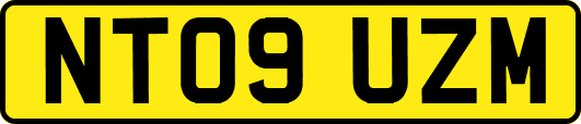NT09UZM