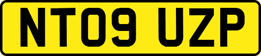 NT09UZP