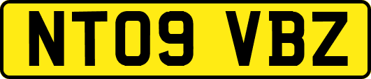 NT09VBZ