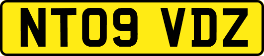 NT09VDZ