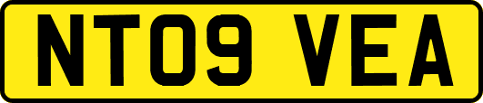 NT09VEA