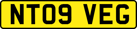 NT09VEG