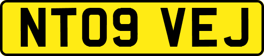 NT09VEJ