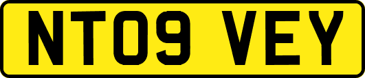 NT09VEY