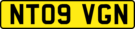 NT09VGN