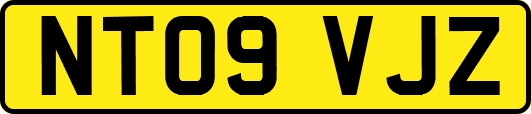 NT09VJZ