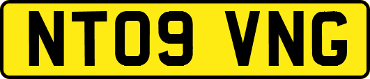 NT09VNG