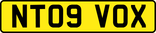 NT09VOX