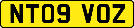 NT09VOZ