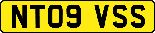 NT09VSS