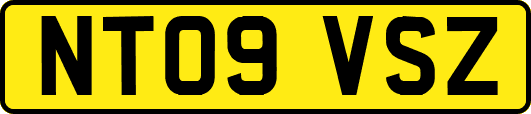 NT09VSZ