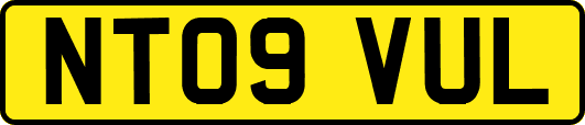 NT09VUL