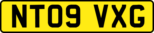 NT09VXG