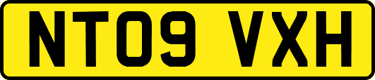 NT09VXH