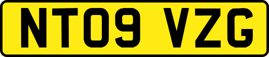 NT09VZG