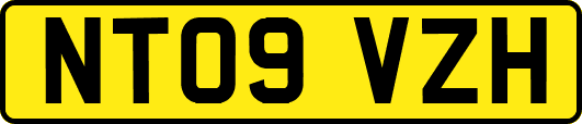 NT09VZH