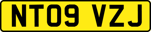 NT09VZJ