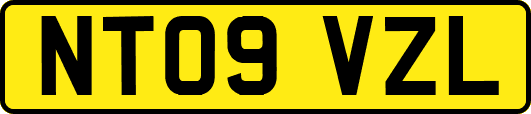 NT09VZL