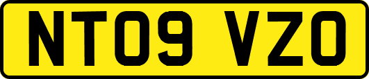 NT09VZO