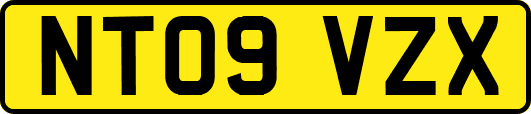 NT09VZX