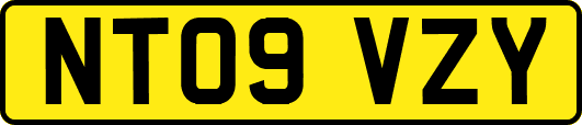 NT09VZY
