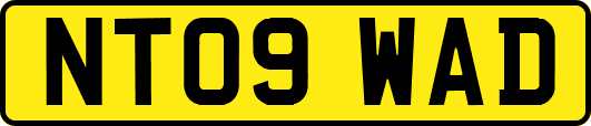 NT09WAD