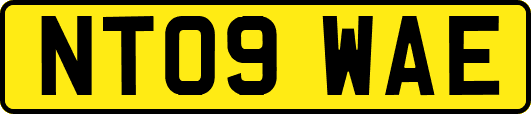 NT09WAE