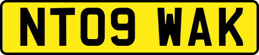 NT09WAK