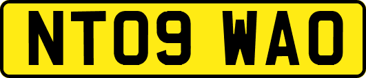 NT09WAO