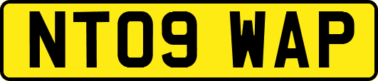 NT09WAP