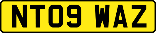 NT09WAZ
