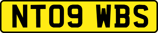 NT09WBS