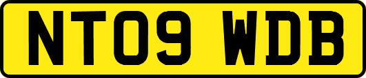 NT09WDB