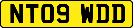 NT09WDD
