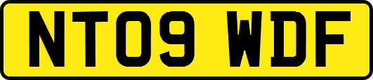 NT09WDF