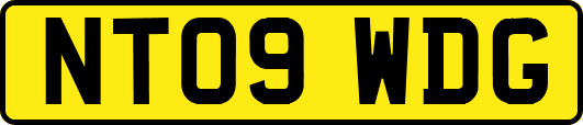 NT09WDG