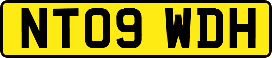 NT09WDH