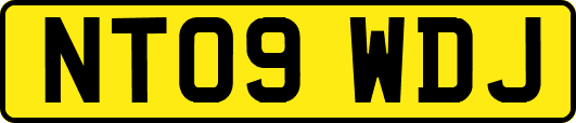 NT09WDJ