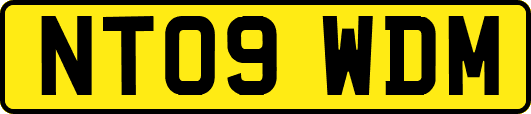 NT09WDM