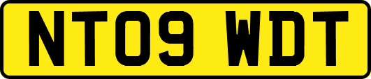 NT09WDT