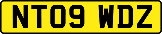 NT09WDZ