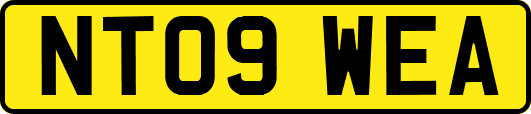NT09WEA