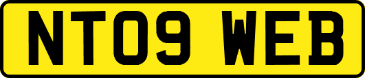 NT09WEB