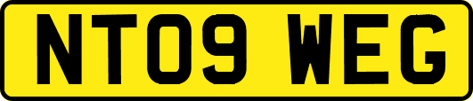 NT09WEG