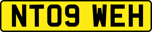 NT09WEH